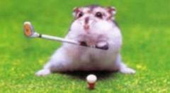 golfista.jpg